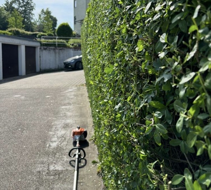 Heckenpflege